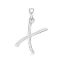 Picture of 'X' FOR X-RAY